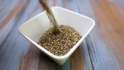 Chia Seed foward Stock Footage