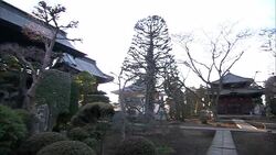 Pretty landscaping decorates the courtyard of a temple. Stock Footage
