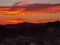 Desert Sunset Stock Footage