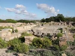 Mozia (Motya), the Cappiddazzu sanctuary Stock Footage