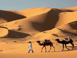 Male in Touareg robes leading camelsÃ‚Â  Erg Chebbi, Sahara Desert, Morocco, Africa Stock Footage