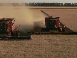 Elevated fiew of three combines harvesting grain in a large field. Stock Footage