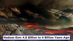 Phylogeny and the Tree of Life Instructional Video