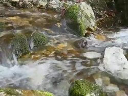 Small brook Stock Footage