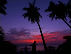 WA People on beach, palm trees silhouetted against dramatic dusk sky, boats moored on sea, Philippines Stock Footage