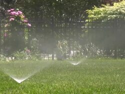 Sprinklers. Agricultural Sprinkler spraying water on back yard green grass. Stock Footage