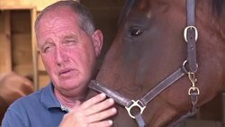 CLEAN : Her Majesty's horses retire in France's Dordogne News Clip