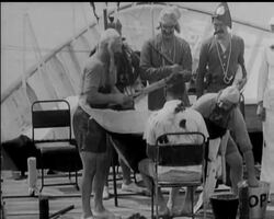 THE PRINCE IN THE ISLANDS News Clip