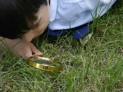 Discovery - Stock Video Stock Footage