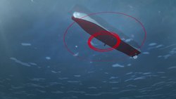 Sonars may be causing some whales to become suicidal Instructional Video