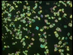 Rotation and zoom into different coloured diamond shaped crystals against black Stock Footage