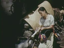 Making Lake Patzcuaro butterfly nets
 Stock Footage