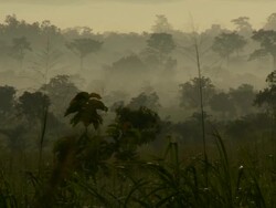 African Sunrise Stock Footage
