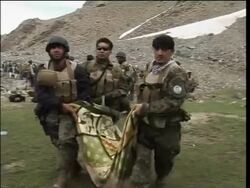 Bodies recovered from site of airline crash, no survivors reported News Clip