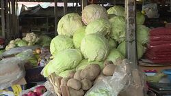 CLEAN : A 2016 love story: the Macedonian cop and the Iraqi refugee News Clip