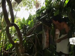 MS Man coming out from outdoor shower / Boquia, Quindio, Colombia Stock Footage