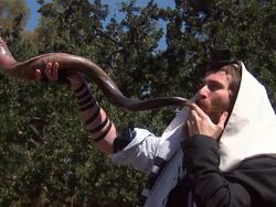 High Holiday Shofar Stock Footage