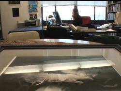 An anthropology professor at UC Berkeley reacts to the arrest of Brooklyn Rabbi Levy Rosenbaum for trafficking human organs. Seven years ago, she informed the FBI about his alleged dealings in black-market kidneys News Clip