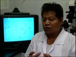 Scientists try to create first water buffalo clone News Clip