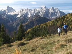 HD: Couple Hiking Stock Footage