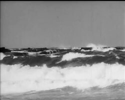 SHIPWRECK OFF SYDNEY News Clip