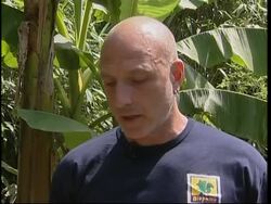 Rare Egyptian tortoises born in Rome zoo News Clip