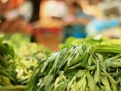 CU Shot of green vegetables with drops of water falling / Luang Prabang, Laos Stock Footage
