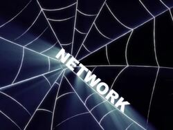 keywords over spider web Stock Footage