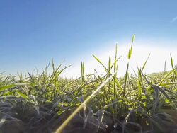 HD TIME-LAPSE: New Day Stock Footage