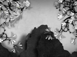 Japan Style Landscape Background Stock Footage