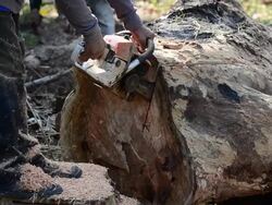 Wood preparation Stock Footage