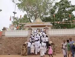 MS Sacred tree, Jaya Sri Maha Bodhi or oldest living human planted tree in world, one of most sacred relics of Buddhism / Anuradhapura, North Central Province, Sri Lanka Stock Footage