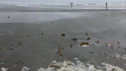 Some people remain as hurricane approaches Texas Instructional Video