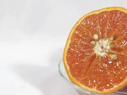 ï»¿Fresh oranges. Stock Footage