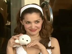 Celebrity Save The Seal Day: Press Conference Hosted by Celebrities Against The Seal Hunt Stock Footage