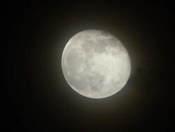 Moon Rising Stock Footage