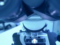 Scientist and bio lab experiment Stock Footage