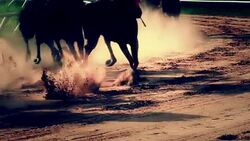 Horse Racing Stock Footage