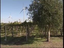 Wind turbines installed to create renewable energy News Clip
