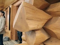 Young couple arriving at log cabin Stock Footage