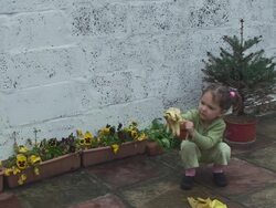 Little gardner Stock Footage