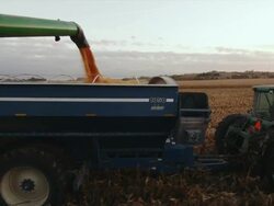 The auger from a combine finishes dumping corn into a wagon and it pulls away. Stock Footage