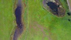 Biosphere Reserve NiedersÃ¤chsische Elbtalaue / Lower Saxonian Elbe Valley Stock Footage