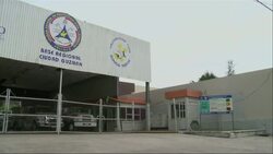 The Colima Volcano in western Mexico spewed large plumes of ash and gas into sky on Thursday, the latest in a series of spectacular but non-threatening eruptions in recent weeks. News Clip