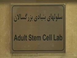 Sign for Adult Stem Cell lab in English and Arabic, Royan Institute, Esfahan, Iran(sound available) Stock Footage