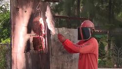 CLEAN : Flame it on the sunshine: Thai solar chicken a hot hit News Clip