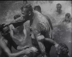 REVIEW OF THE YEAR News Clip