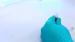 Researchers working in laboratory Stock Footage