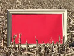 HD: Message Board On The Field Stock Footage