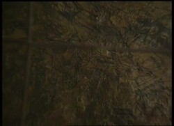 Germany - Documenta Instructional Video